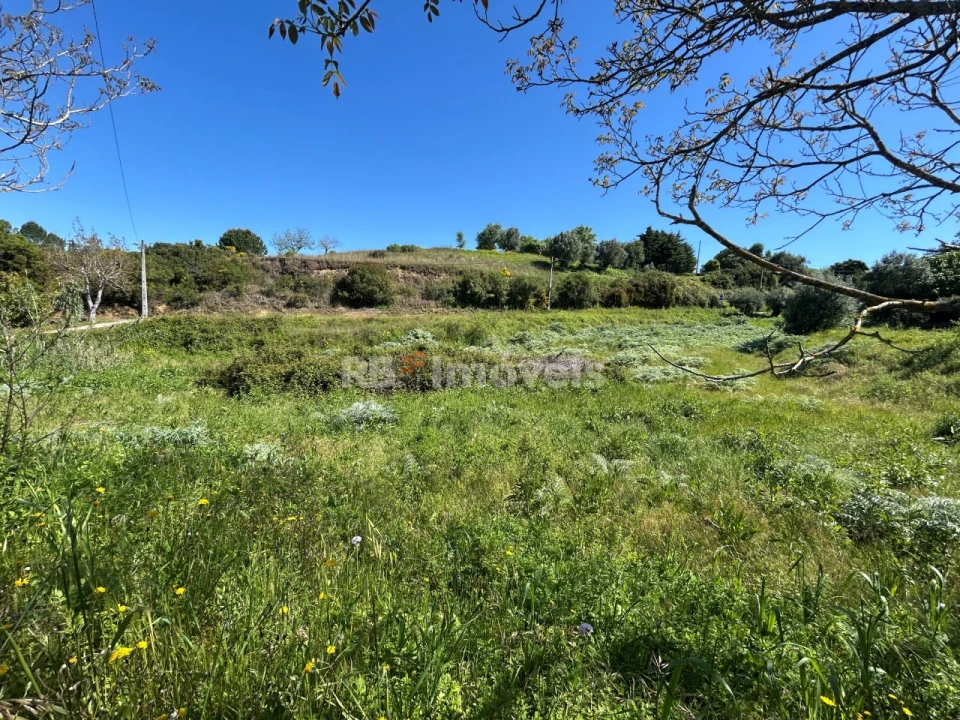 Terreno para Venda em Madalena e Beselga Foto 1