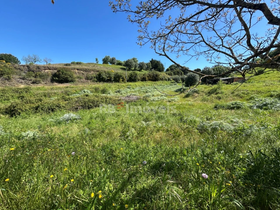 Terreno para Venda em Madalena e Beselga Foto 4