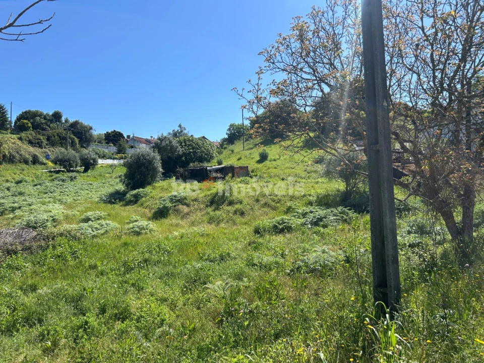 Terreno para Venda em Madalena e Beselga Foto 7