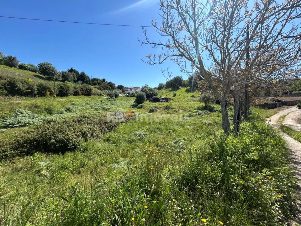 Terreno para Venda em Madalena e Beselga Foto 9