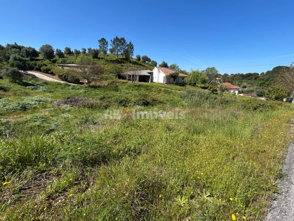 Terreno para Venda em Madalena e Beselga Foto 14