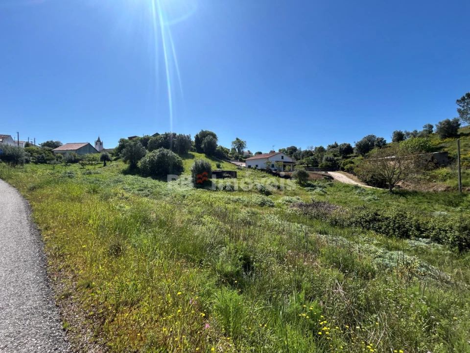 Terreno para Venda em Madalena e Beselga Foto 16