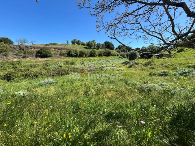 Terreno para Venda em Madalena e Beselga Foto 4