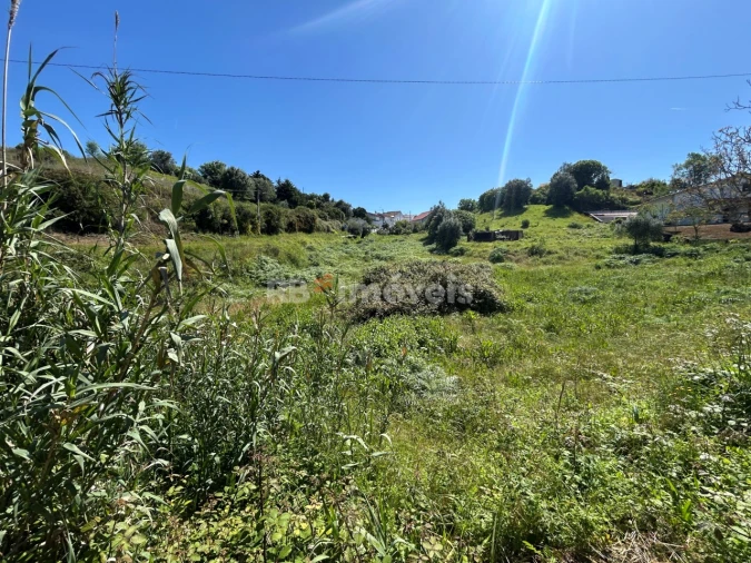 Terreno para Venda em Madalena e Beselga Foto 10