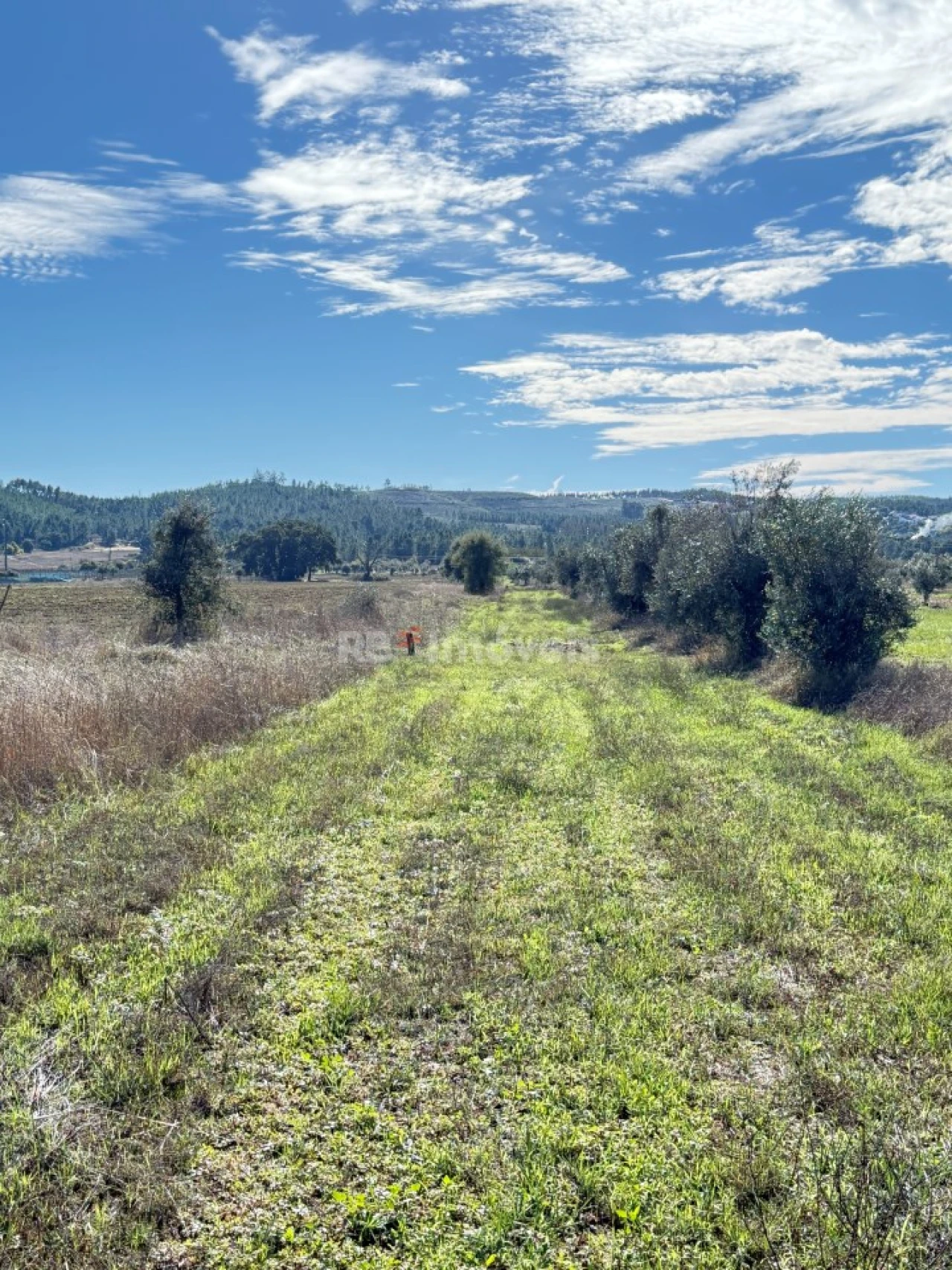 Terreno para Venda em Alvega e Concavada Foto 5