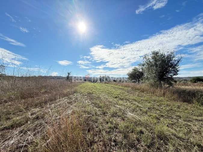 Terreno para Venda em Alvega e Concavada Foto 1