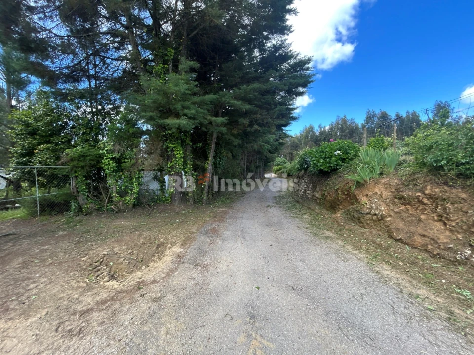Terreno para Venda em Ferreira do Zezere Foto 5
