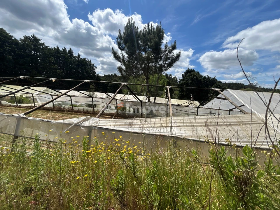 Terreno para Venda em Ferreira do Zezere Foto 9