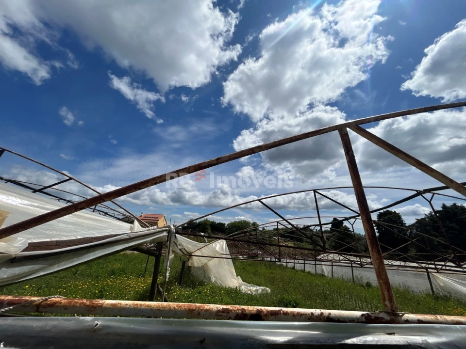 Terreno para Venda em Ferreira do Zezere Foto 11
