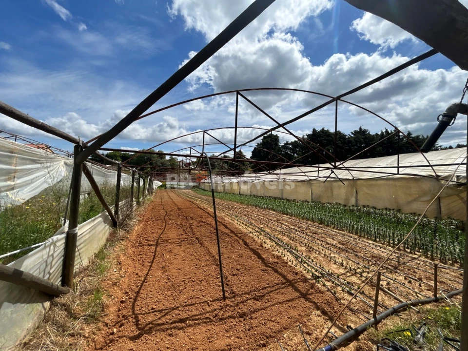 Terreno para Venda em Ferreira do Zezere Foto 1