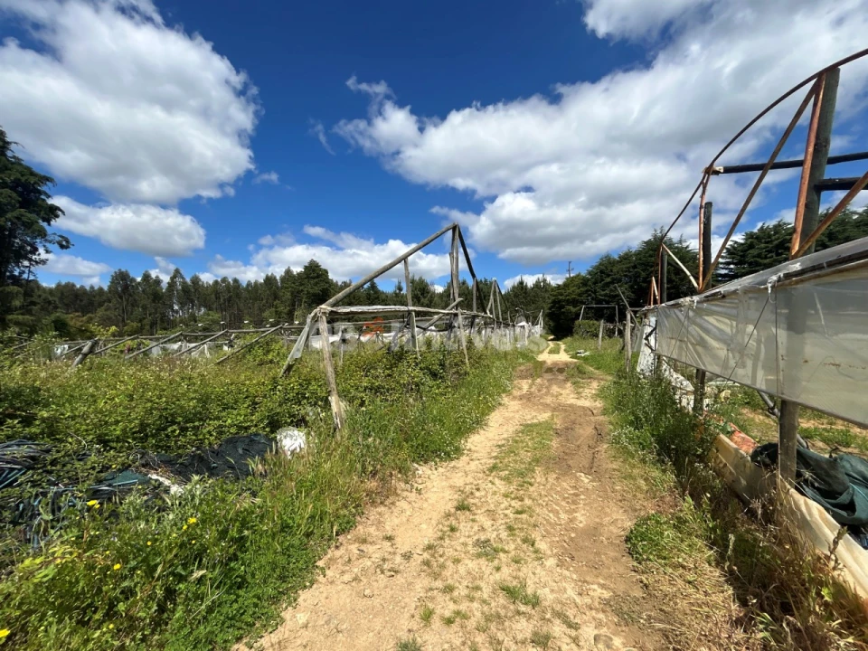 Terreno para Venda em Ferreira do Zezere Foto 13