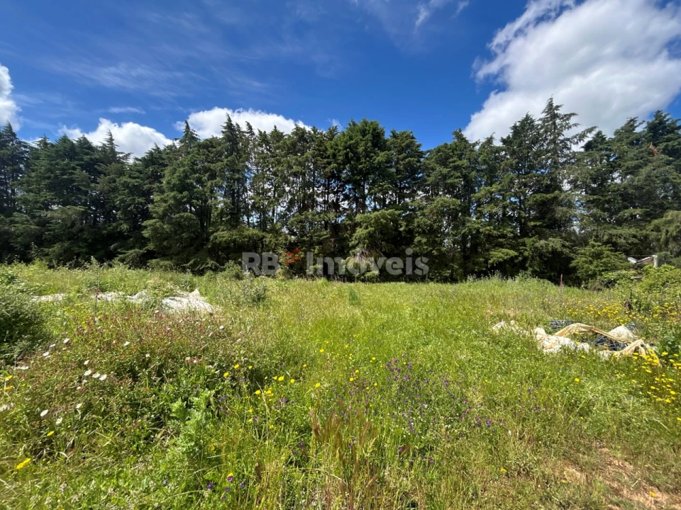 Terreno para Venda em Ferreira do Zezere Foto 14
