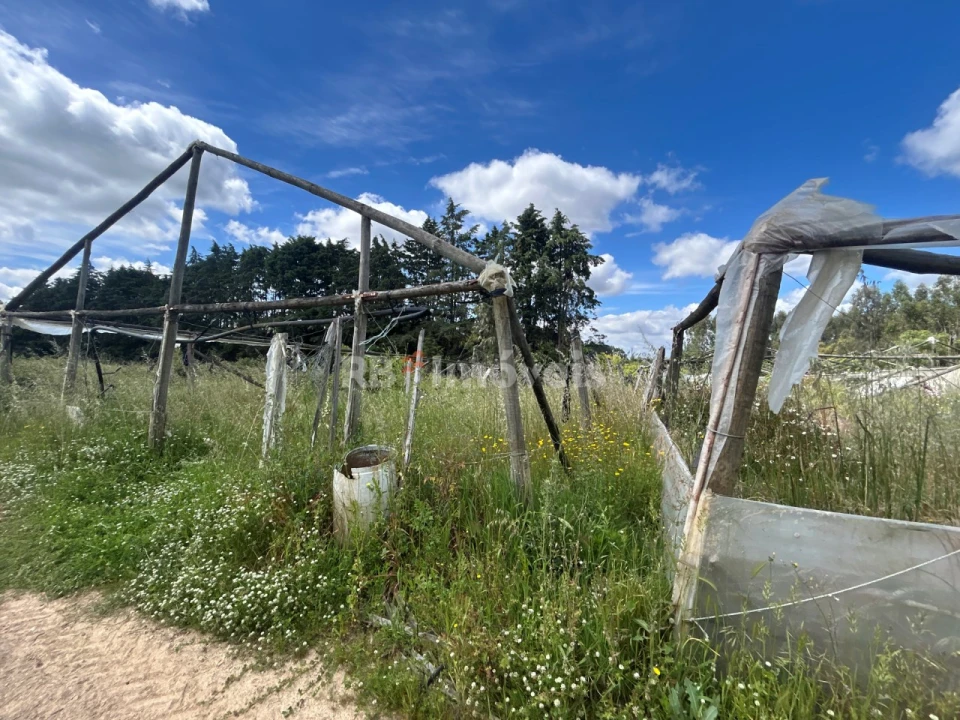 Terreno para Venda em Ferreira do Zezere Foto 18
