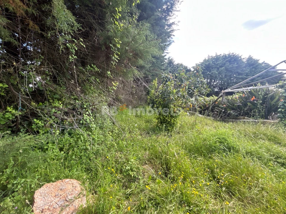 Terreno para Venda em Ferreira do Zezere Foto 24