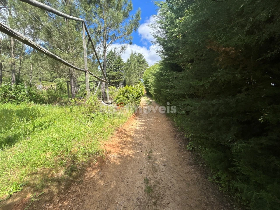 Terreno para Venda em Ferreira do Zezere Foto 27