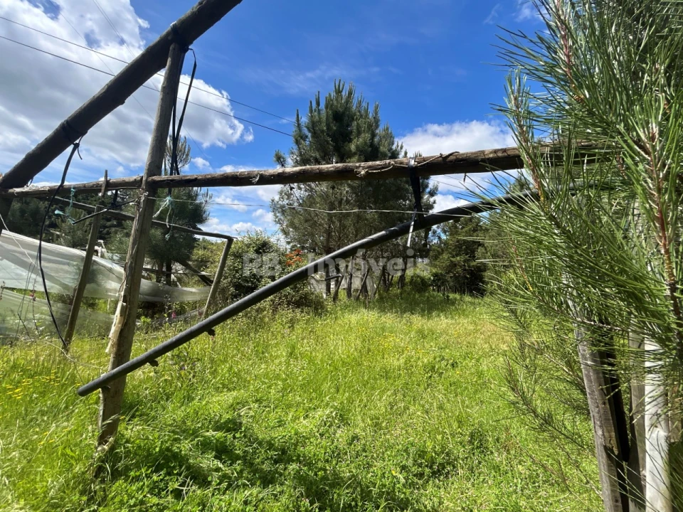 Terreno para Venda em Ferreira do Zezere Foto 28
