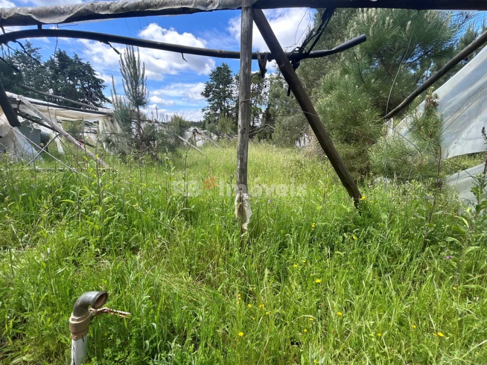 Terreno para Venda em Ferreira do Zezere Foto 29