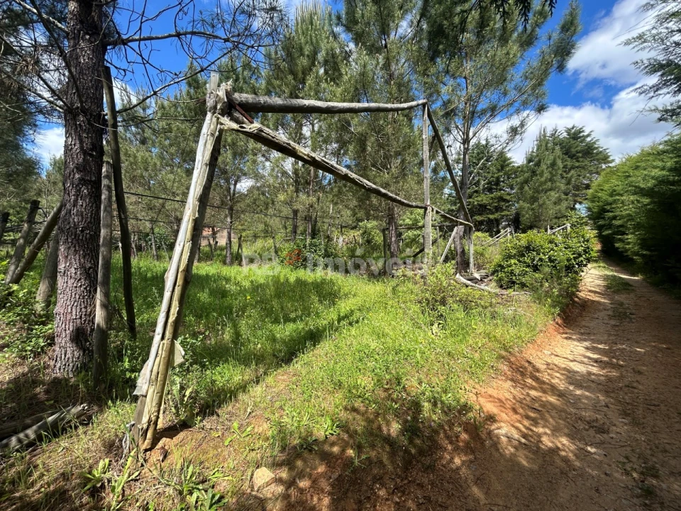 Terreno para Venda em Ferreira do Zezere Foto 30