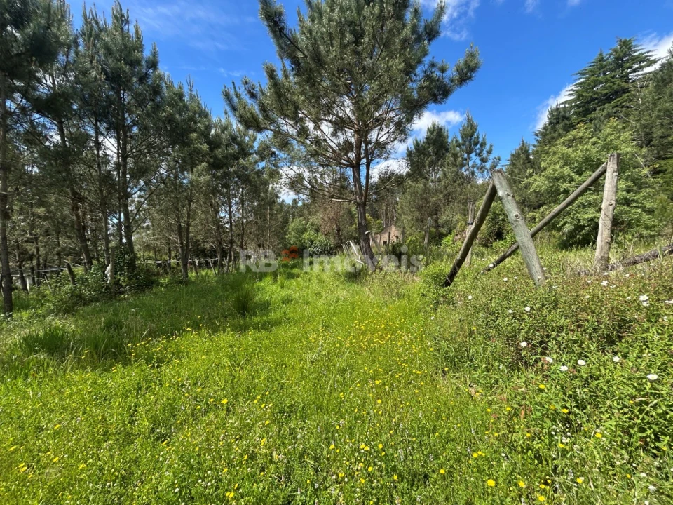 Terreno para Venda em Ferreira do Zezere Foto 33