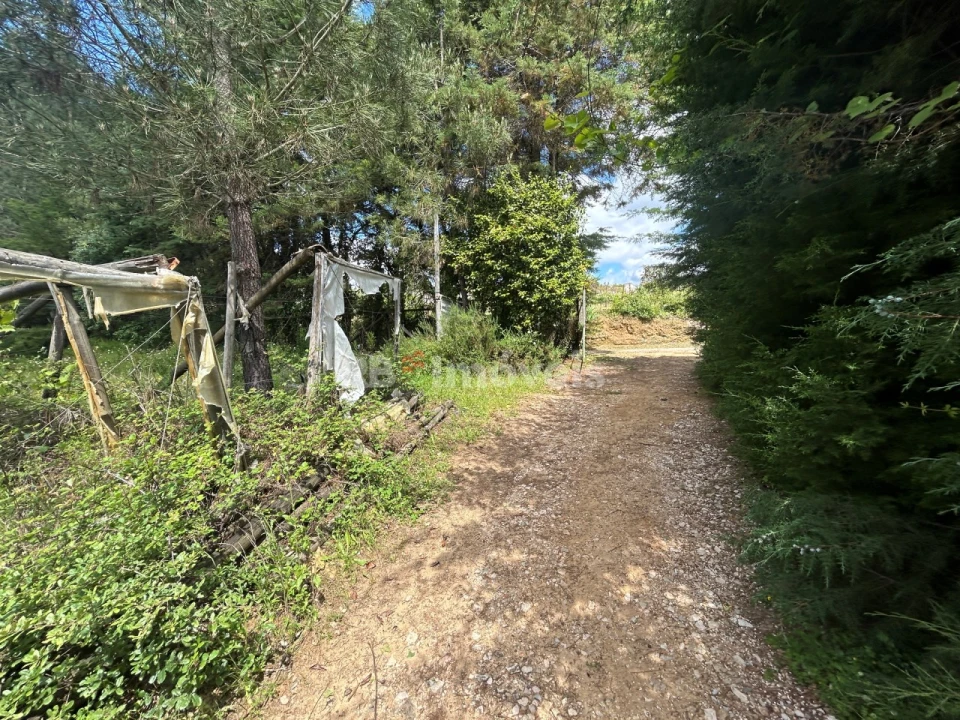 Terreno para Venda em Ferreira do Zezere Foto 37