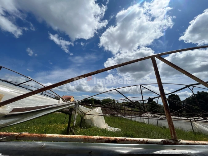 Terreno para Venda em Ferreira do Zezere Foto 11
