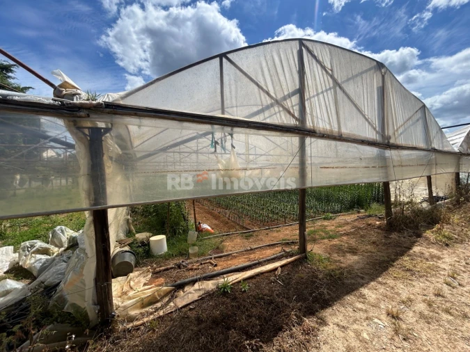 Terreno para Venda em Ferreira do Zezere Foto 16
