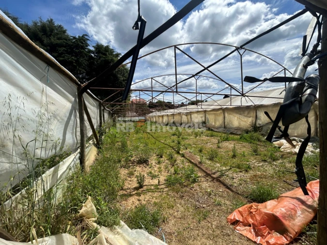 Terreno para Venda em Ferreira do Zezere Foto 17