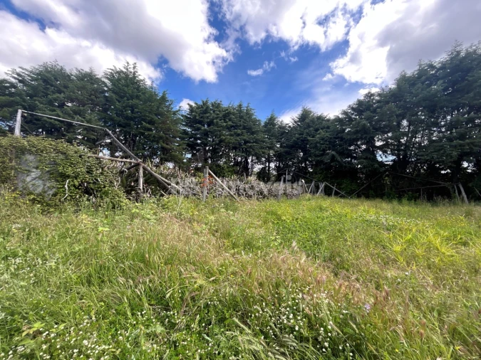Terreno para Venda em Ferreira do Zezere Foto 20