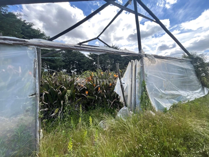 Terreno para Venda em Ferreira do Zezere Foto 22
