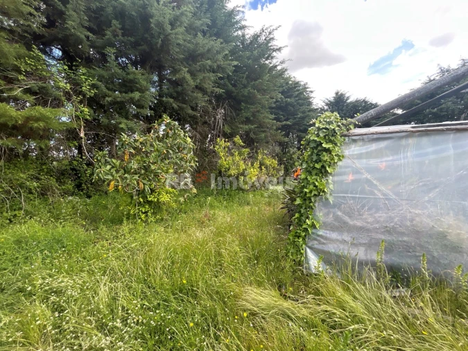 Terreno para Venda em Ferreira do Zezere Foto 25