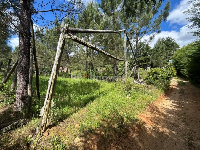 Terreno para Venda em Ferreira do Zezere Foto 30