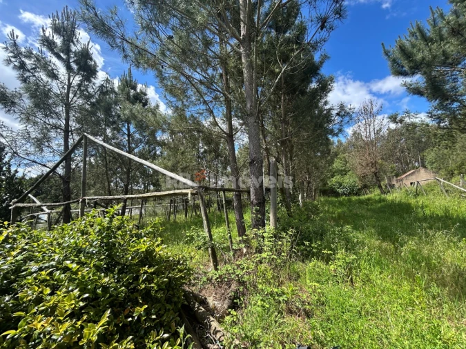 Terreno para Venda em Ferreira do Zezere Foto 31