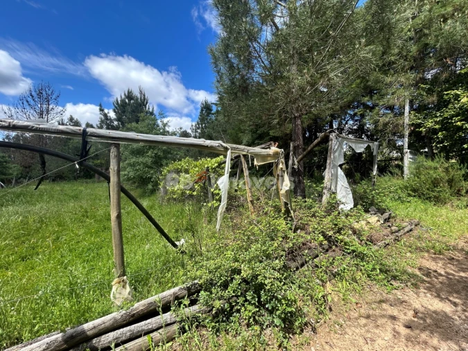 Terreno para Venda em Ferreira do Zezere Foto 36