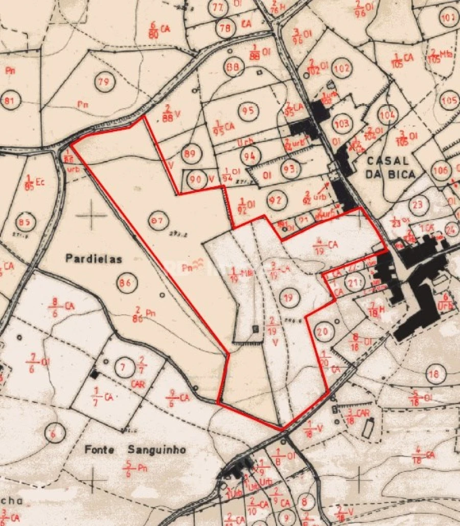 Terreno para Venda em Ferreira do Zezere Foto 39