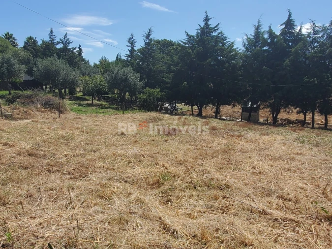Terreno para Venda em Praia do Ribatejo Foto 5