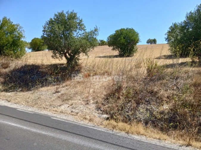 Terreno para Venda em Chancelaria Foto 1