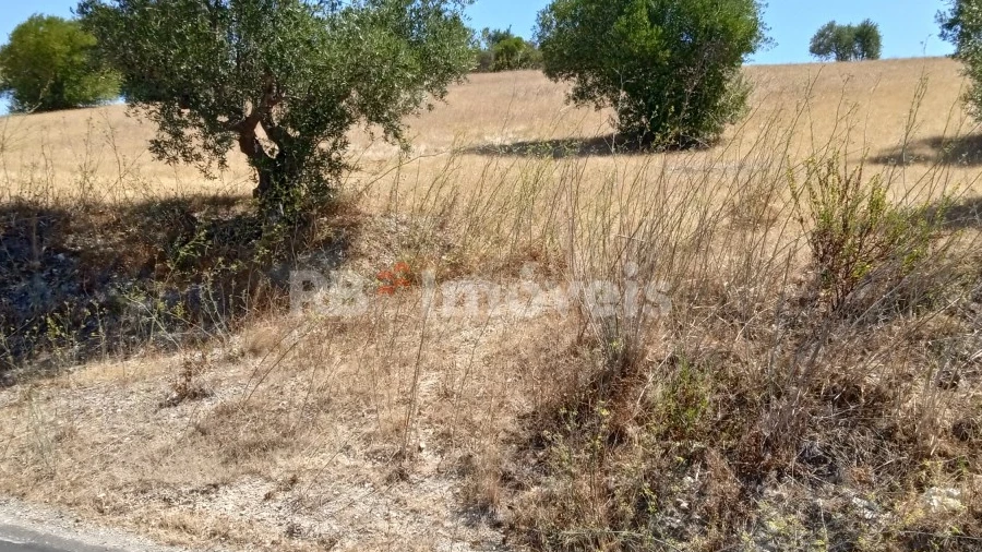 Terreno para Venda em Chancelaria