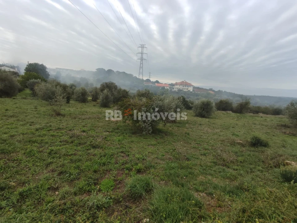 Terreno para Venda em Casais e Alviobeira Foto 6