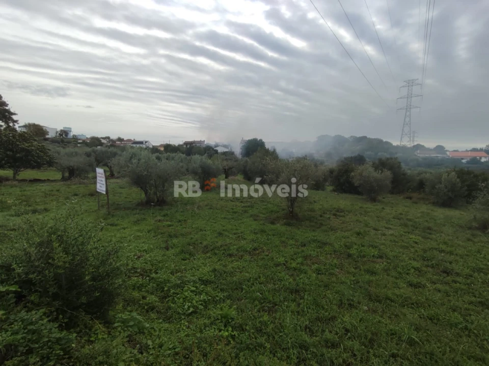 Terreno para Venda em Casais e Alviobeira Foto 8