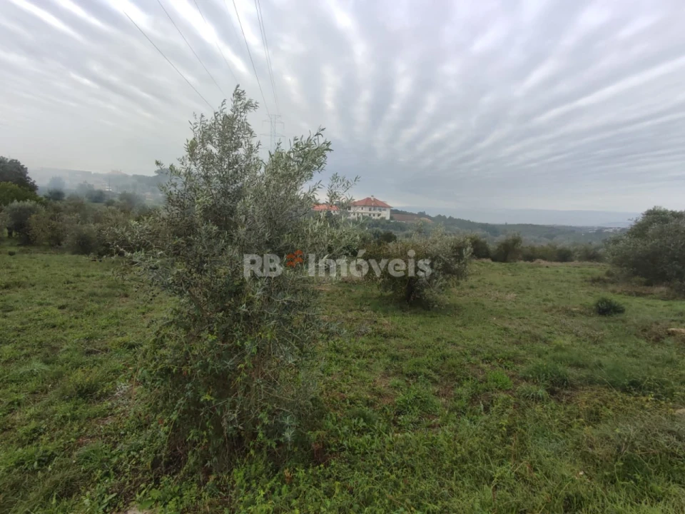 Terreno para Venda em Casais e Alviobeira Foto 2