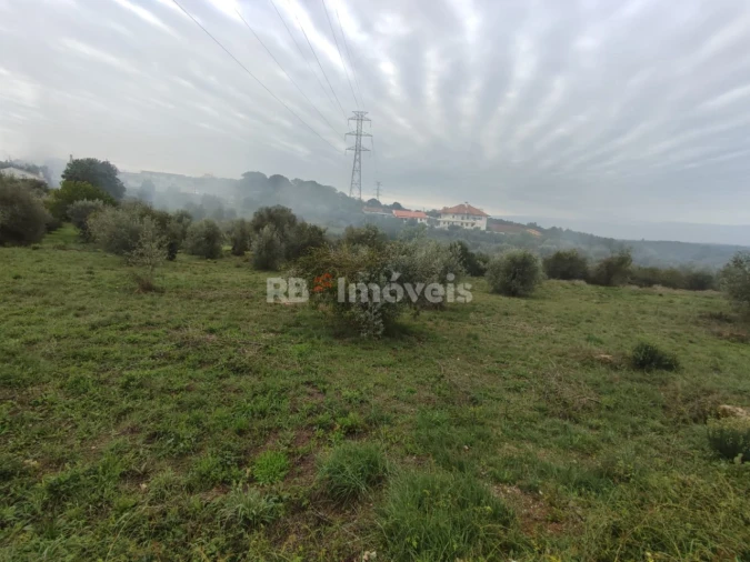 Terreno para Venda em Casais e Alviobeira Foto 6