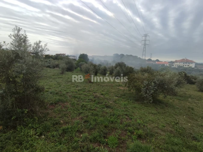 Terreno para Venda em Casais e Alviobeira Foto 7