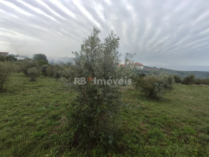 Terreno para Venda em Casais e Alviobeira Foto 9
