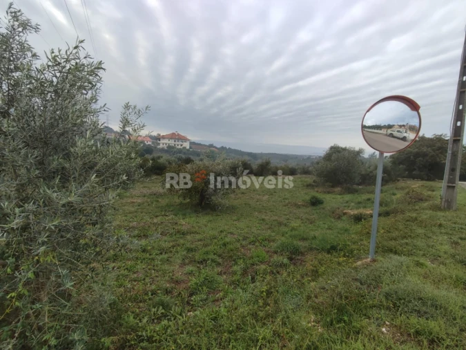 Terreno para Venda em Casais e Alviobeira Foto 3