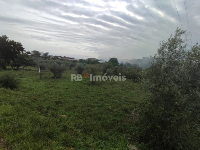 Terreno para Venda em Casais e Alviobeira Foto 4