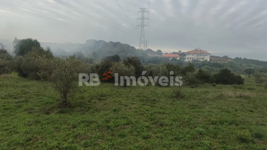 Terreno para Venda em Casais e Alviobeira