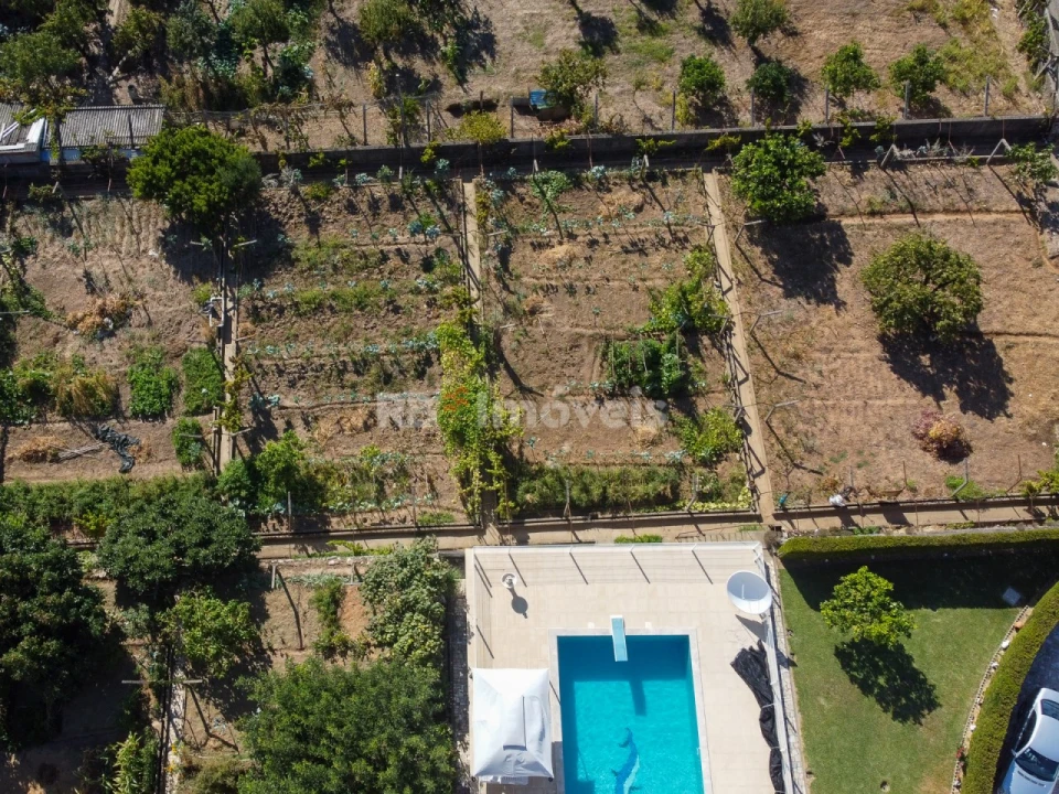 Terreno para Venda em Nossa Sra de Fatima Foto 7
