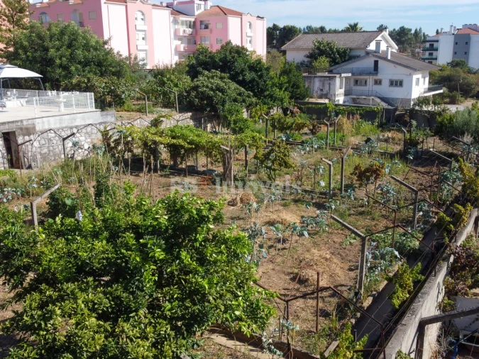 Terreno para Venda em Nossa Sra de Fatima Foto 8