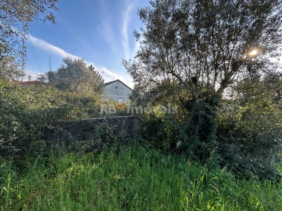 Terreno para Venda em São Pedro de Tomar Foto 6