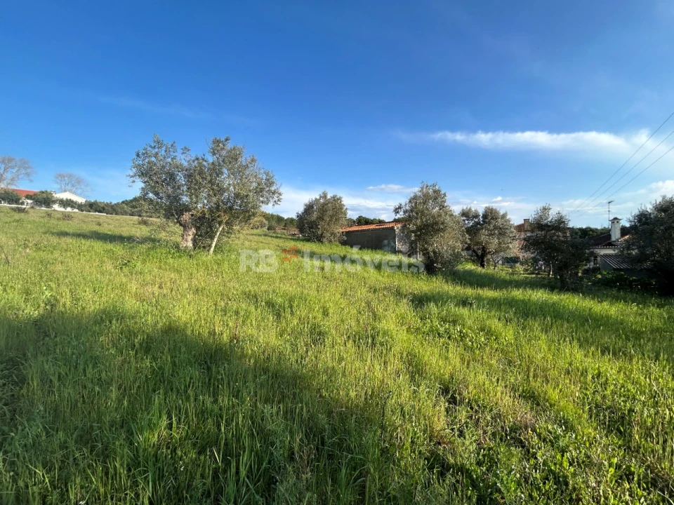 Terreno para Venda em São Pedro de Tomar Foto 8